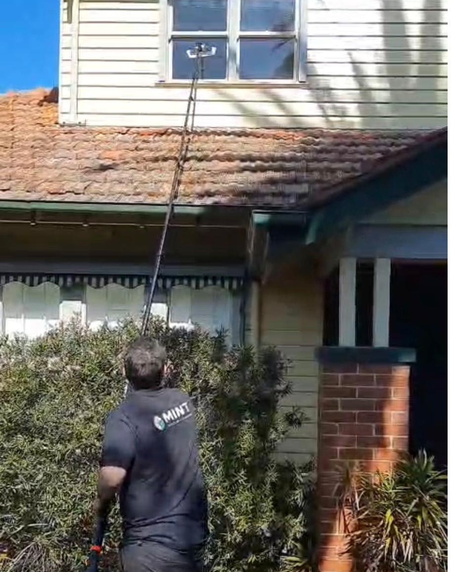 Residential window cleaning with water-fed pole on Melbourne home