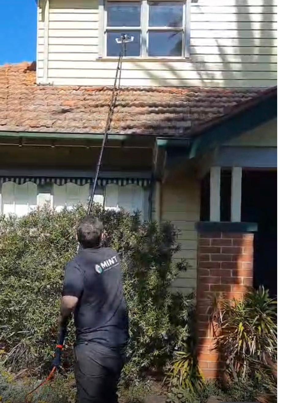 Residential window cleaning with water-fed pole on a Melbourne home